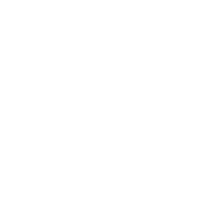 Logo wheel-lighter-green